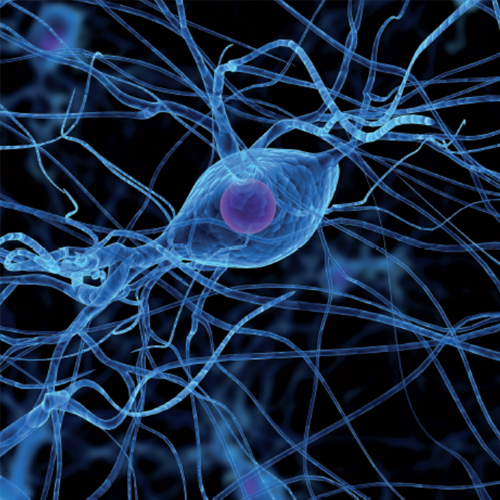 Chromatography-solution